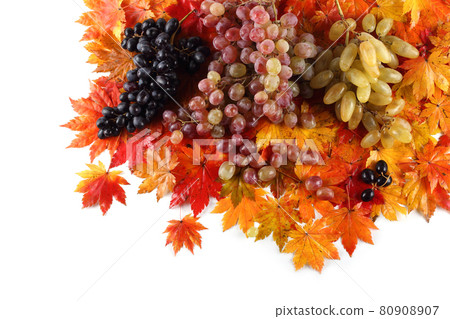 Grape on autumn leaves Grape on autumn leaves 80908907