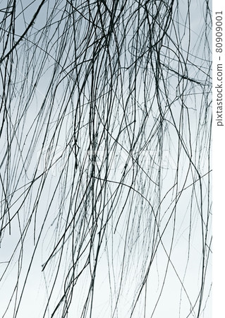 令人不安的印象和樹枝 80909001