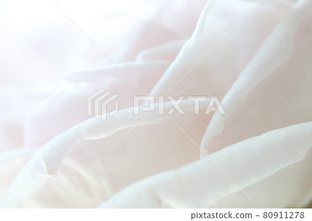 Soft pink Rose petals macro closeup Soft pink Rose petals macro closeup 80911278