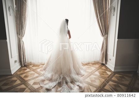 Portrait of beautiful bride with fashion veil at wedding morning Portrait of beautiful bride with fashion veil at wedding morning 80911642