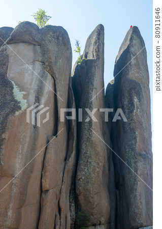 A rock of brown stone that resembles a birds feathers. A rock of brown stone that resembles a birds feathers. 80911646