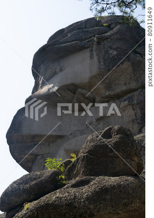 A rock of brown stone that resembles a human head. A rock of brown stone that resembles a human head. 80911649