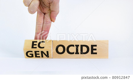 Ecocide or genocide symbol. Businessman turns a cube and changes the word genocide to ecocide. Beautiful white background, copy space. Business, ecological and genocide or ecocide concept. 80912847