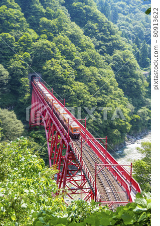 Fresh green Kurobe Gorge, trolley train seen from Yamabiko Observatory 80913622