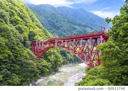Fresh green Kurobe Gorge trolley train seen from Yamahiko Bridge 80913740