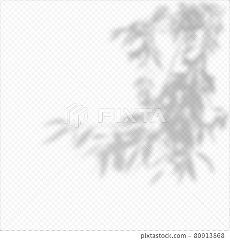 Realistic Vector transparent overlay blured shadow of branch leaves. Realistic Vector transparent overlay blured shadow of branch leaves. 80913868