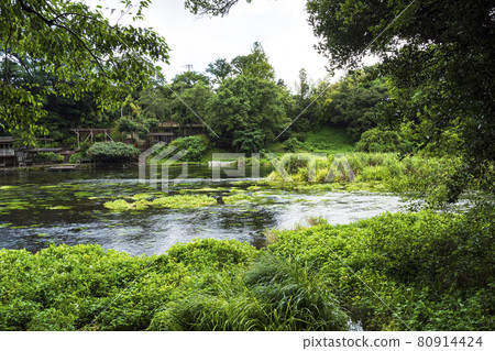 Kakita River Springs 夏季 80914424