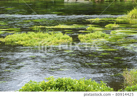 Kakita River Springs 夏季 80914425