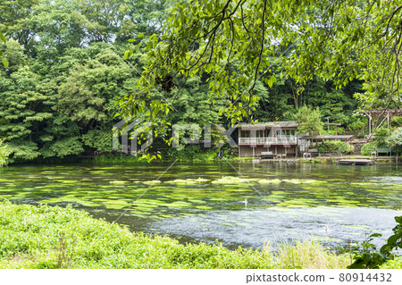Kakita River Springs 夏季 80914432