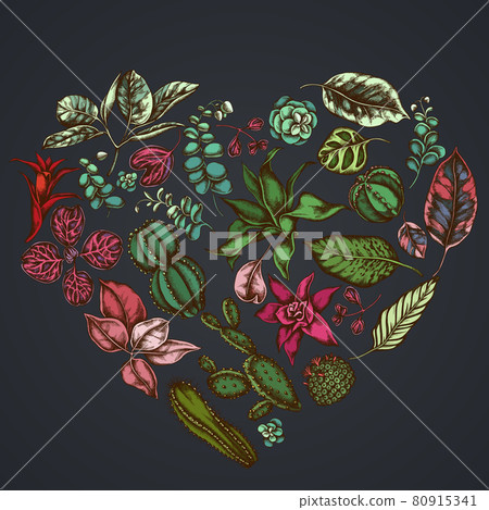 Heart floral design on dark background with ficus, iresine, kalanchoe, calathea, guzmania, cactus Heart floral design on dark background with ficus, iresine, kalanchoe, calathea, guzmania, cactus 80915341