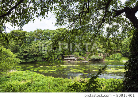 Kakita River Springs Summer Kakita River Springs Summer 80915401