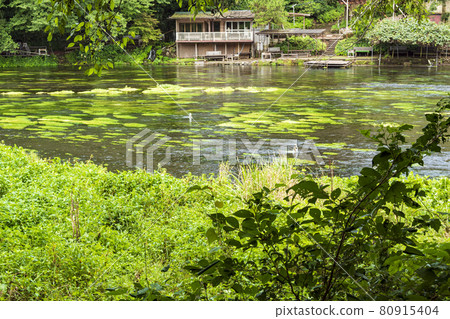 Kakita River Springs 夏季 80915404