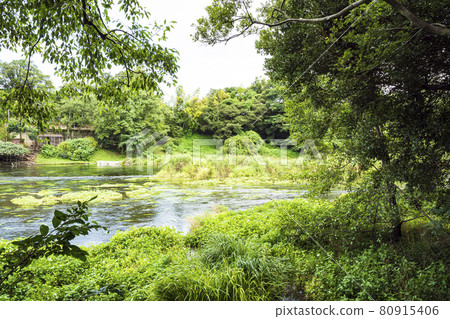 Kakita River Springs 夏季 80915406