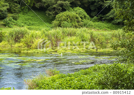 Kakita River Springs Summer Kakita River Springs Summer 80915412