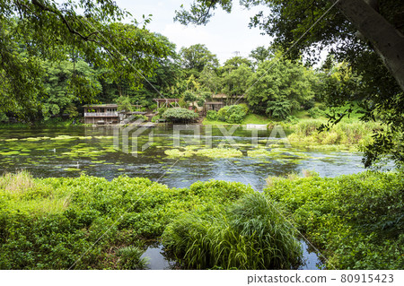 Kakita River Springs 夏季 80915423