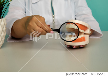 A plastic model of the jaw in the hands of a dentist A plastic model of the jaw in the hands of a dentist 80915545