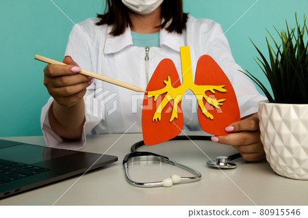 Doctor shows a lung model. The concept is the importance of early diagnostics. Healthcare theme 80915546