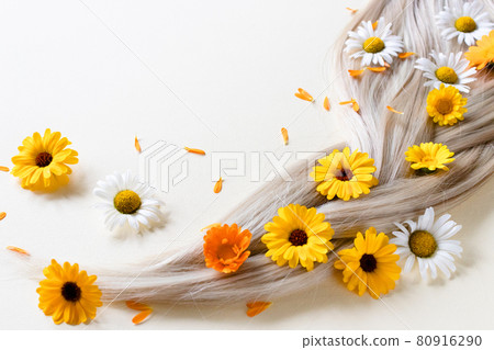 woman, flower, chamomile 80916290