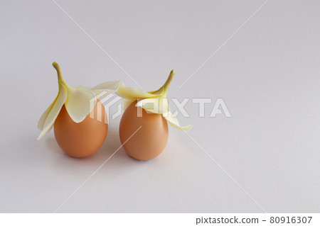 egg, flower, easter 80916307