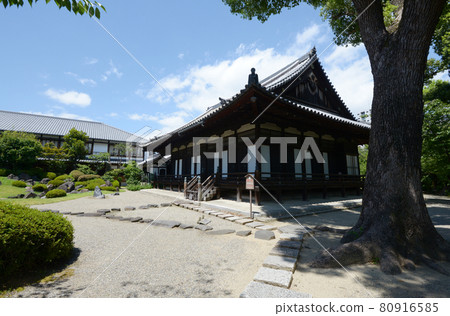 Shitennoji Hojo, Tennoji Ward, Osaka City 80916585