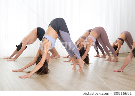 Group of young sporty sexy women in yoga studio, practicing yoga lesson with instructor, forming a line in Adho mukha svanasana downward dog asana pose. Healthy active lifestyle, working out in gym Group of young sporty sexy women in yoga studio, practicing yoga lesson with instructor, forming a line in Adho mukha svanasana downward dog asana pose. Healthy active lifestyle, working out in gym 80916691