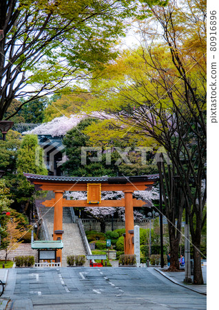 Utsunomiya Arayama Shrine 80916896