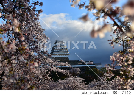 Himeji City, Hyogo Prefecture, Japan Himeji Castle, a World Heritage Site and a national treasure, spring cherry blossoms, blue sky and a magnificent castle tower Himeji City, Hyogo Prefecture, Japan Himeji Castle, a World Heritage Site and a national treasure, spring cherry blossoms, blue sky and a magnificent castle tower 80917140