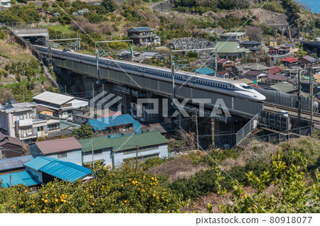 [東海道新幹線N700A穿過橙色田野] 80918077
