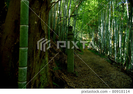 172 Town Stone和Koyasan Town Stone Road [和歌山縣工藤山町] 80918114