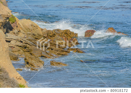 Rocky Coast on the Estero Bluffs State Park on the Pacific Ocean in Cayucos, San Luis Obispo County, California Rocky Coast on the Estero Bluffs State Park on the Pacific Ocean in Cayucos, San Luis Obispo County, California 80918172