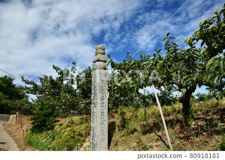 Koyasan-cho Ishimichi, 163-cho stone [Kudoyama-cho, Wakayama Prefecture] 80918181