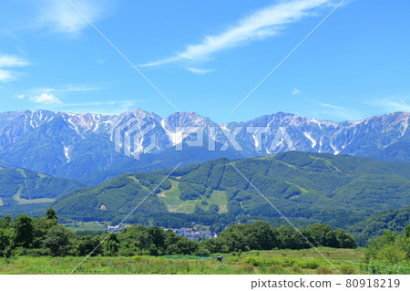 白馬村：從野平看到的夏日白馬三山 80918219