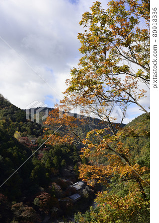 Hozu Gorge seen from Arashiyama Observatory Hozu Gorge seen from Arashiyama Observatory 80918336