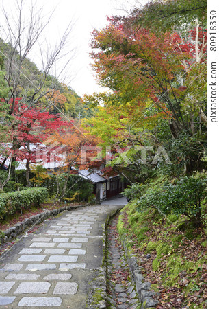 Kashino Nenbutsuji Temple (Adashino Nenbutsuji Temple) Kashino Nenbutsuji Temple (Adashino Nenbutsuji Temple) 80918350