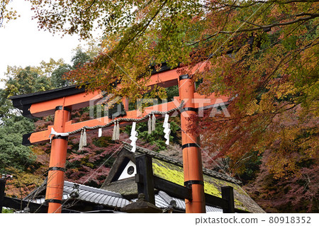 愛宕神社一個鳥居 愛宕神社一個鳥居 80918352