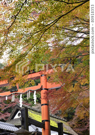 愛宕神社一個鳥居 愛宕神社一個鳥居 80918353