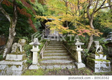 Gohodo Benzaiten秋葉 80918382