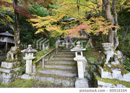 Gohodo Benzaiten Autumn leaves 80918384