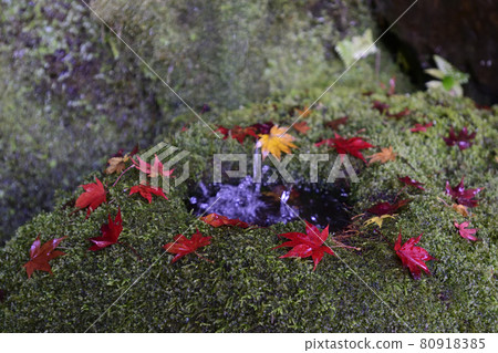 Gohodo Benzaiten秋葉 80918385