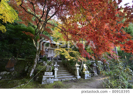 Gohodo Benzaiten Autumn leaves Gohodo Benzaiten Autumn leaves 80918395