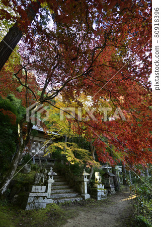 Gohodo Benzaiten Autumn leaves Gohodo Benzaiten Autumn leaves 80918396