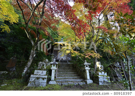 Gohodo Benzaiten Autumn leaves Gohodo Benzaiten Autumn leaves 80918397