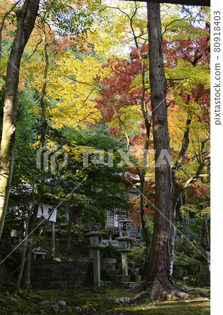 Gohodo Benzaiten Autumn leaves 80918403