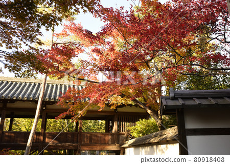 Kiyoshiji (Saga Shakado) 80918408