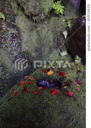 Gohodo Benzaiten Moss Hand Water Bowl Gohodo Benzaiten Moss Hand Water Bowl 80918428