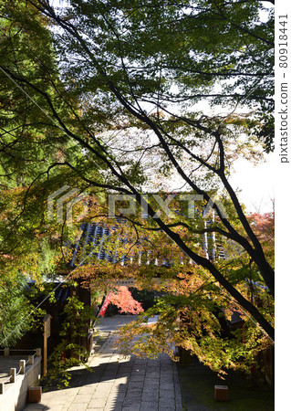 國藏法輪寺三門 80918441