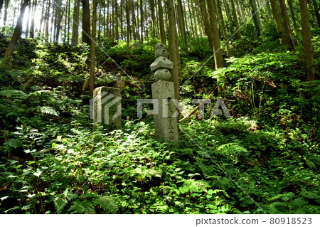154 town stones standing at the entrance of Mt. Amabiki on the stone road of Koyasan town 154 town stones standing at the entrance of Mt. Amabiki on the stone road of Koyasan town 80918523