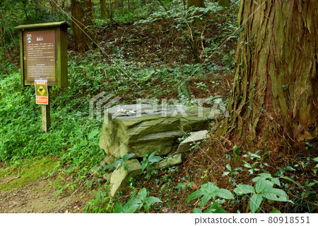 高野山町石路 高野山町石路 80918551