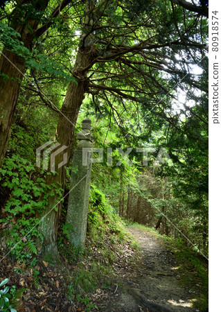 高野山町石路 157 町石 80918574