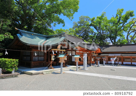 [愛媛縣] 晴空下的小森神社（椿神社） 80918792